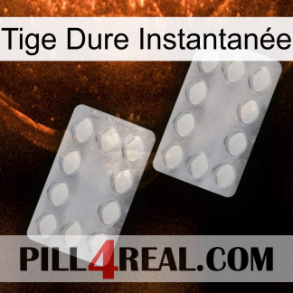 Tige Dure Instantanée 17